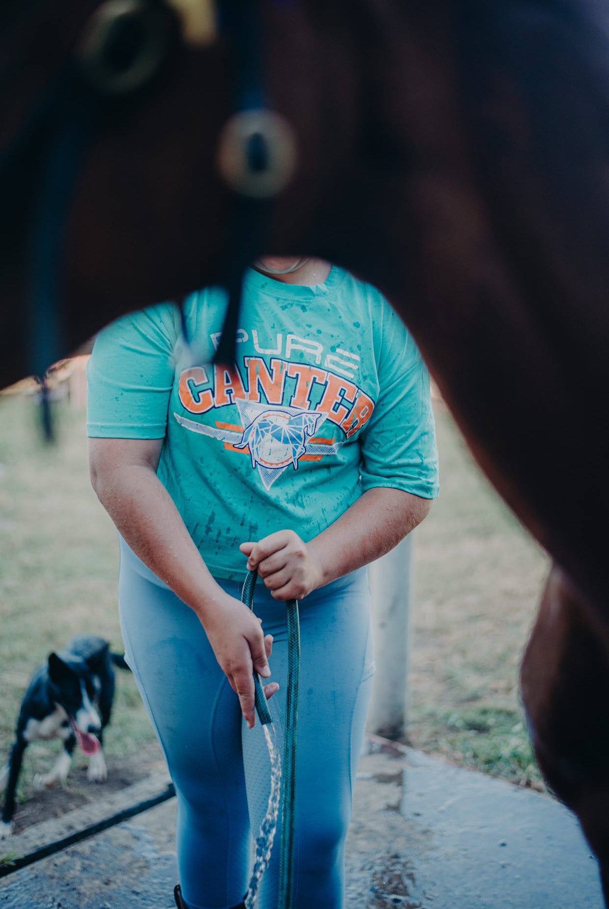 A person in a blue "Panthers" t-shirt and Pure Canter Pty Ltd Youth PURE Sports Crop is holding a hose, partially obscured by a horse in the foreground. A black and white dog with its tongue out is visible in the background. The scene appears to be outdoors.